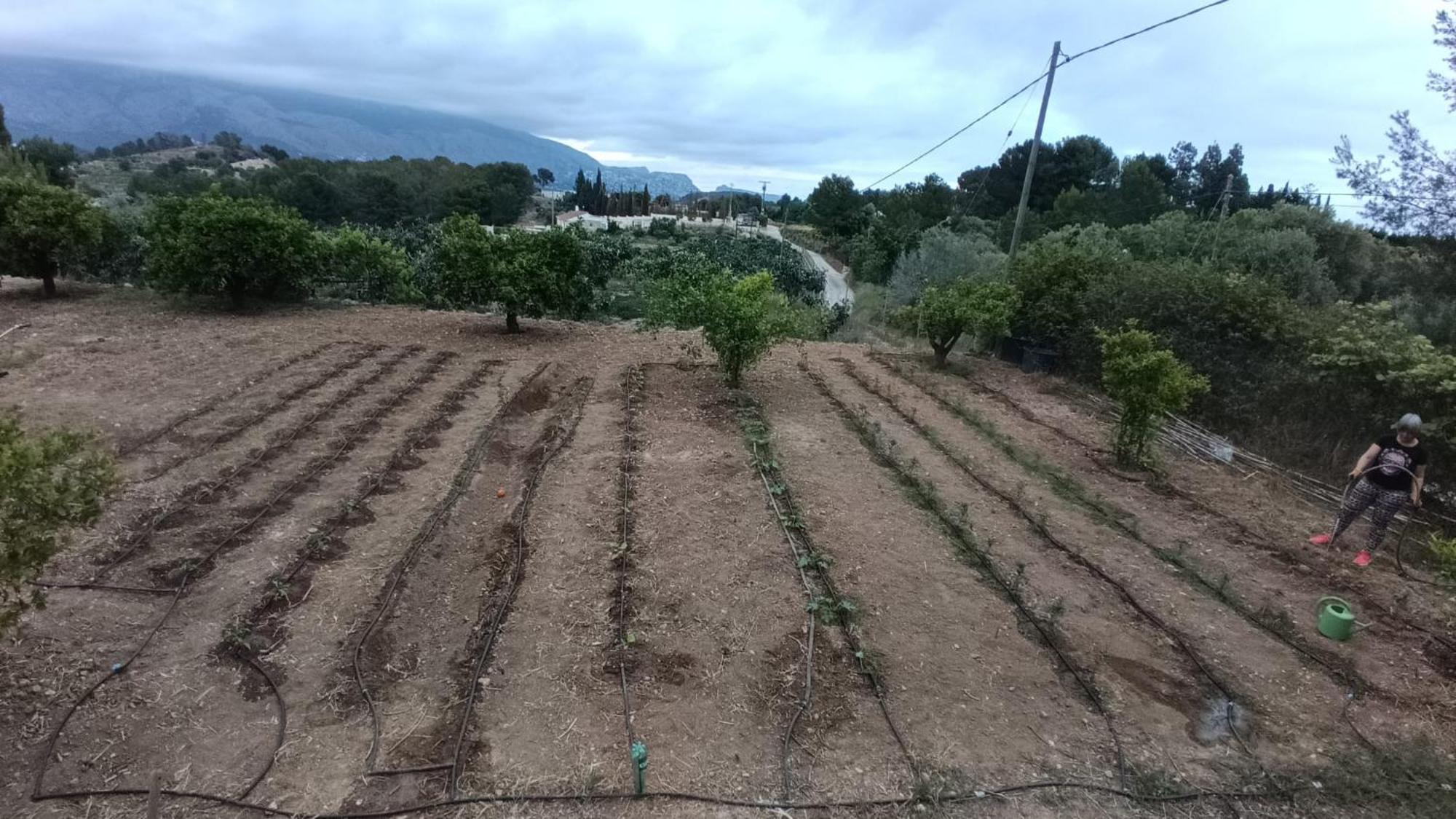 Caravana- Glamping Casa Tortuga La Nucía Εξωτερικό φωτογραφία